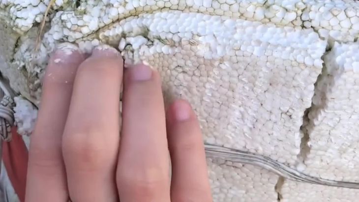 [在线ASMR][抖音六六]助眠哄睡ASMR视频集 43